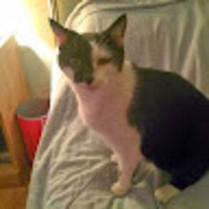 Meet your Posher, Mitchell